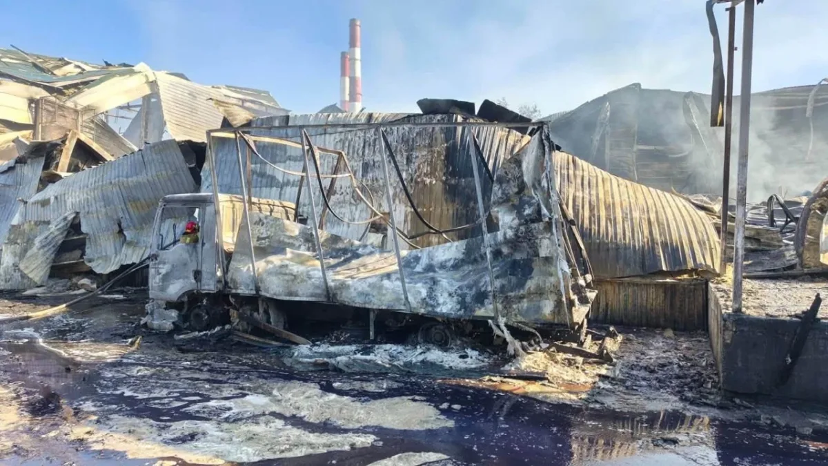 ДПС створить реєстр постраждалого бізнесу. Як це працюватиме?